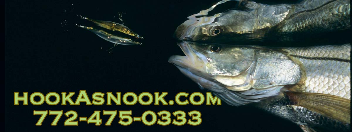 Photo of a snook chasing a lure. Phone #: 772-475-0333 hook a snook - snook guide Florida
