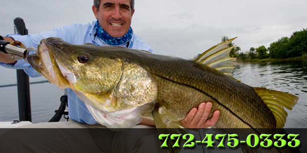 hook a snook