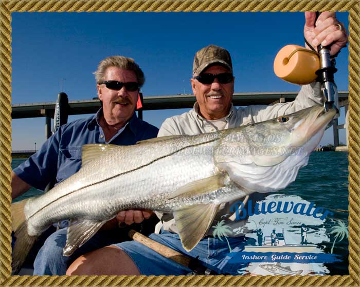 Huge snook - fishing charter FL